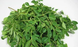 Ảnh minh hoạ: Internet