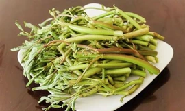 Ảnh minh hoạ: Internet