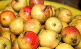 Ảnh minh họa: Internet