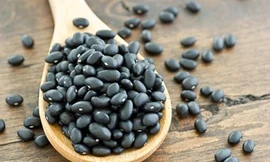 Ảnh minh hoạ: Internet