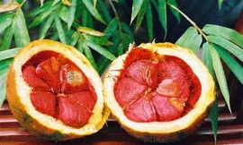 Ảnh minh hoạ: Internet