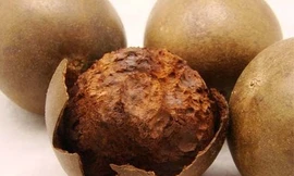 Ảnh minh họa: Internet