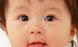 Ảnh minh hoạ: Internet