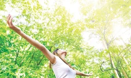 Ảnh minh hoạ: Internet