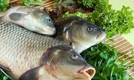 Ảnh minh họa: Internet