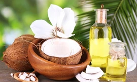 Ảnh minh họa: Internet