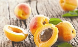 Ảnh minh hoạ: Internet