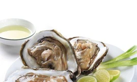 Ảnh minh hoạ: Internet