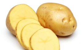 Ảnh minh hoạ: Internet