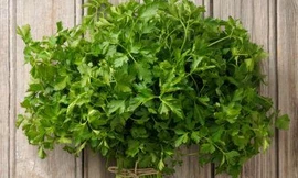 Ảnh minh hoạ: Internet