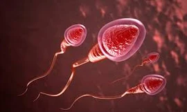 Ảnh minh họa: Internet