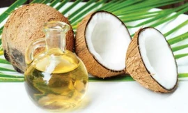 Ảnh minh họa: Internet