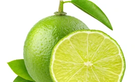 Ảnh minh hoạ: Internet