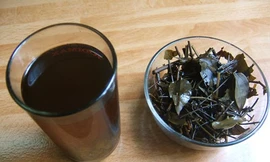 Ảnh minh họa: Internet