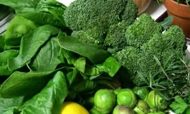 Ảnh minh họa: Internet