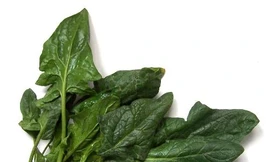 Ảnh minh hoạ: Internet