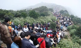 Ảnh minh họa: Internet