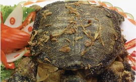 Ảnh minh hoạ: Internet