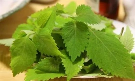 Ảnh minh họa: Internet