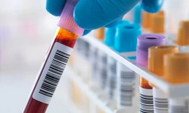 Ảnh minh hoạ: Internet