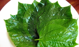 Ảnh minh hoạ: Internet