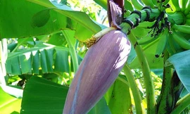 Ảnh minh hoạ: Internet