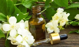 Ảnh minh hoạ: Internet