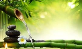 Ảnh minh hoạ: Internet