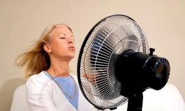 Ảnh minh họa: Internet