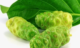 Ảnh minh hoạ: Internet