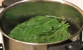 Ảnh minh hoạ: Internet