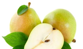 Ảnh minh hoạ: Internet