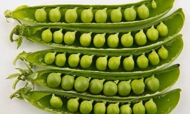 Ảnh minh họa: Internet