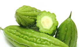 Ảnh minh hoạ: Internet