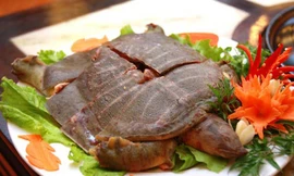 Ảnh minh hoạ: Internet