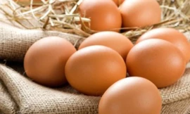 Ảnh minh hoạ: Internet