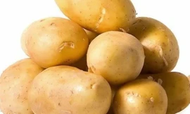 Ảnh minh hoạ: Internet