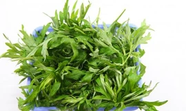 Ảnh minh họa: Internet