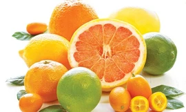 Ảnh minh hoạ: Internet