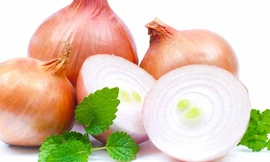 Ảnh minh hoạ: Internet