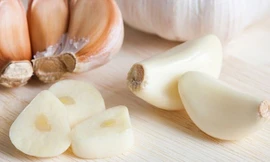 Ảnh minh hoạ: Internet