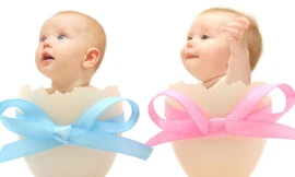 Ảnh minh hoạ: Internet