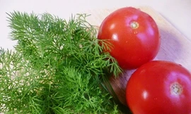 Ảnh minh hoạ: Internet