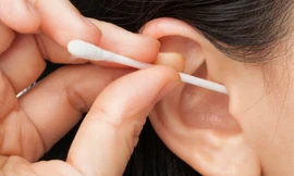 Ảnh minh hoạ: Internet