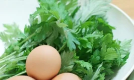 Ảnh minh hoạ: Internet