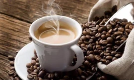 Ảnh minh hoạ: Internet