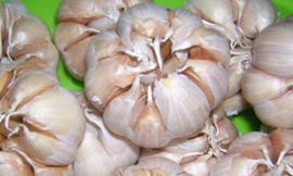 Ảnh minh họa: Internet