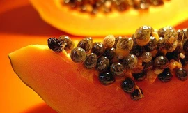 Ảnh minh hoạ: Internet