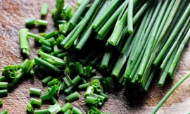 Ảnh minh hoạ: Internet