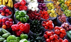 Ảnh minh hoạ: Internet